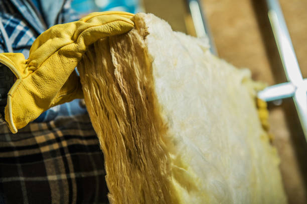 Best Insulation Contractors for Homes  in Woodville, TX